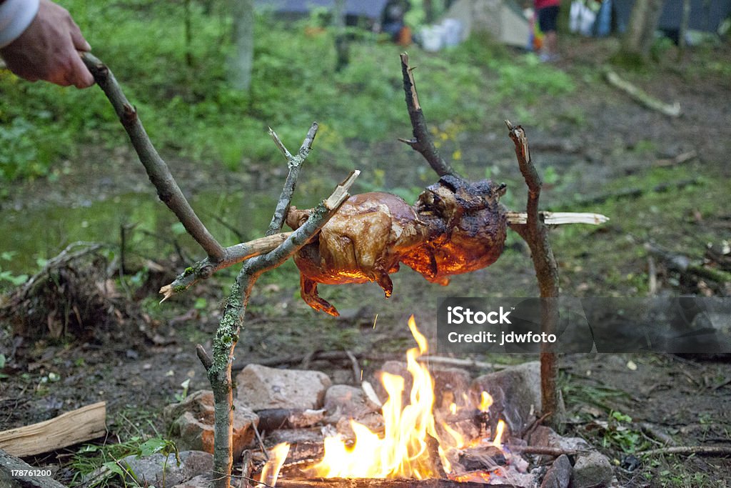 Rôtir poulet sur un feu de camp - Photo de Feu de camp libre de droits