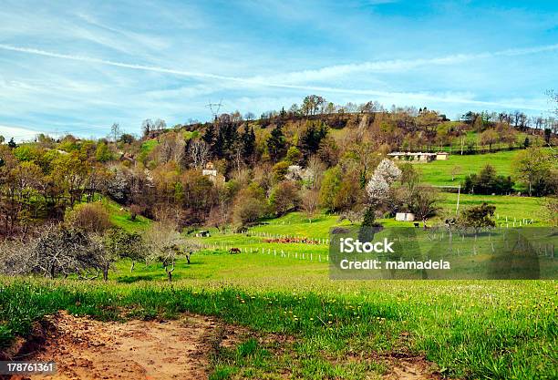 Asturian Campos Foto de stock y más banco de imágenes de Aire libre - Aire libre, Animal doméstico, Bosque