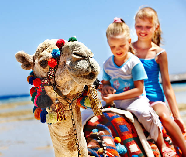 Two girls riding a tourist camel on a beach in Egypt stock photo