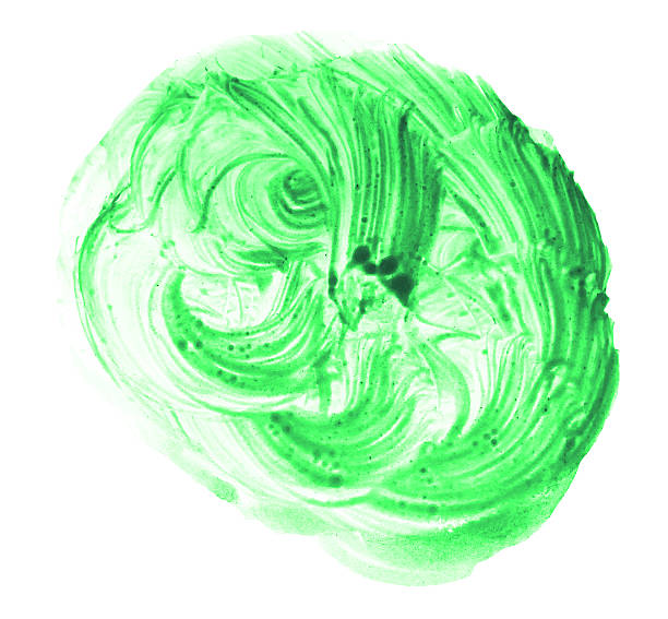 istock stroke paint splatters color watercolor abstract water brush wat 178761656