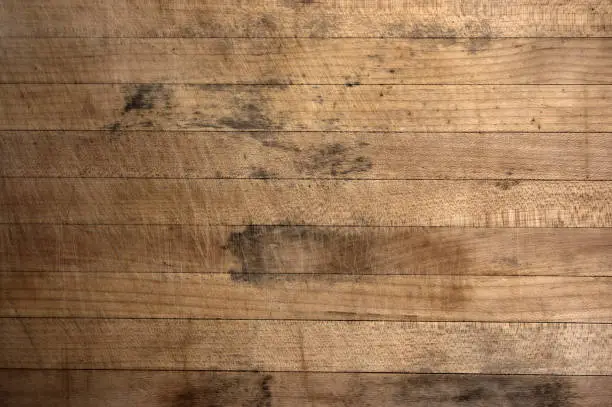 Dirty wood texture great to add texture to any grungy design. *** Wildlife Images available ****