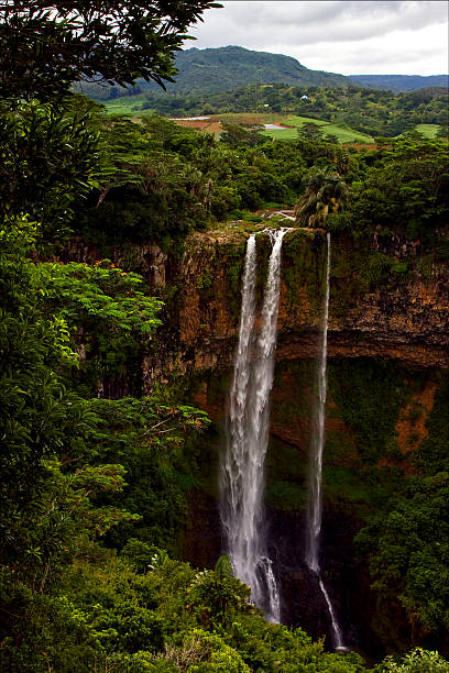 istock chamarel in the isle of mauritius 178762868
