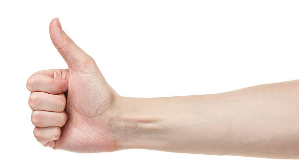 istock adult man hand thumb up 178764038