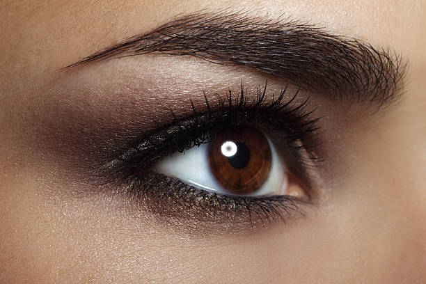hermosa mujer ojo makeup. primer plano - brown eyes fotografías e imágenes de stock