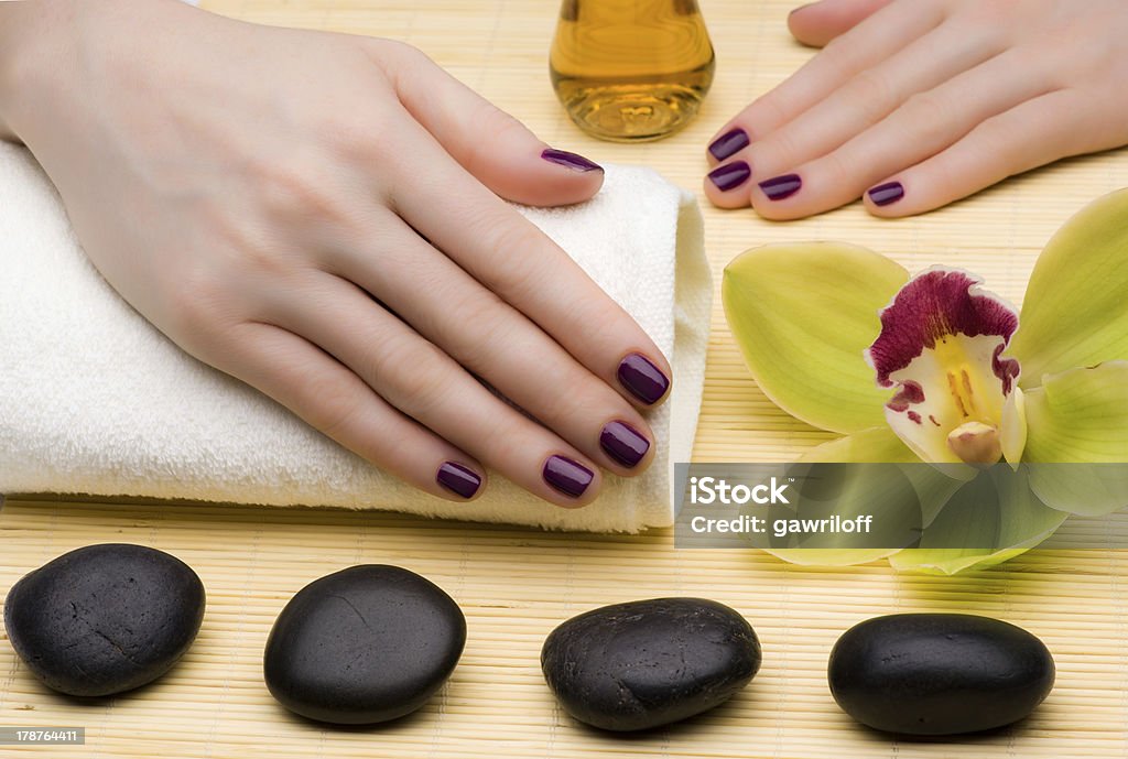 Beautiful manicure Adult Stock Photo