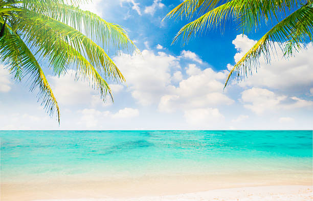 istock Sand beach with coconut leaves 178764633
