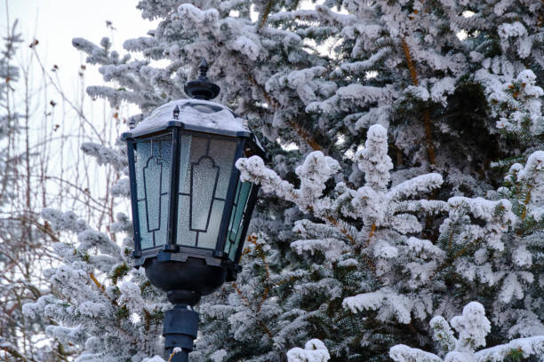 Free Stock Photo of Street lamp with snow against ivy background ...