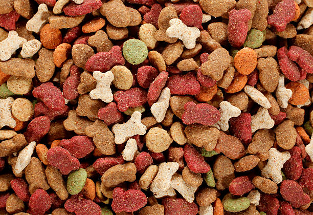 istock Dry dog food colorful 178767259