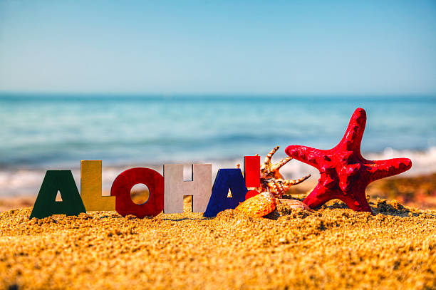 Wooden colorful word 'Aloha' on the sand Wooden colorful word 'Aloha' with shells on the sand aloha single word stock pictures, royalty-free photos & images