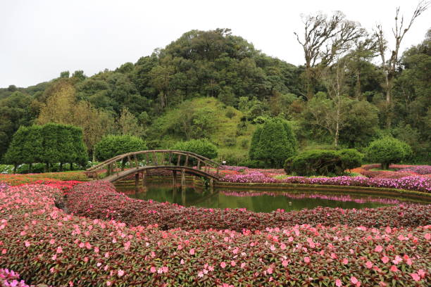 istock The garden on the Queen. 1787674700