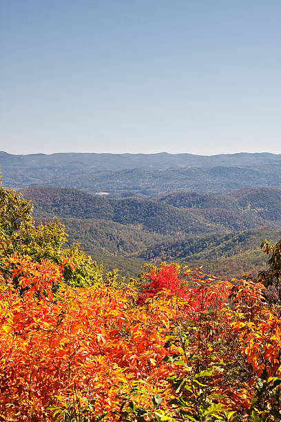 istock North Carolina Mountains in the Fall 178767596