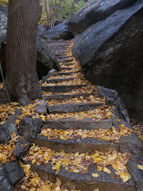 istock Stairs on Bear Mountain in New York 178768301