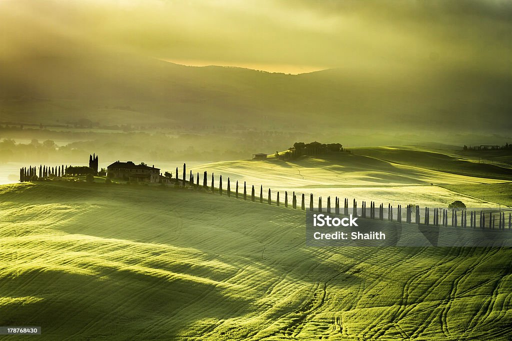 Nascer do sol, San Quirico d'Orcia - Royalty-free Toscana - Itália Foto de stock