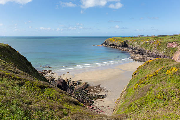 Coastal landscape in Pembrokeshire, Wales (United Kingdom), north of Fishguard, at the beginning of Dinas Head