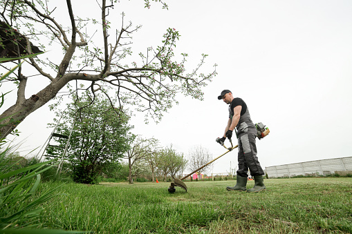 Side view of professional gardener in protective apparel is trimming green grass. Man worker mows weeds with hand electric or petrol lawn trimmer, mower in city park or backyard. Gardening care tools.