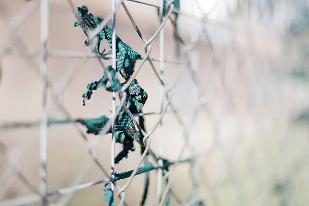 Abstract view of wire mesh fence with remnants of green shade cloth