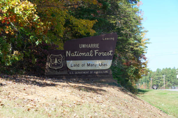 New London, North Carolina - October 28, 2023: Uwharrie National Forest sign near New London, North Carolina in autumn.