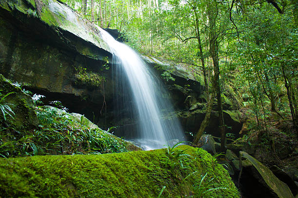 cascata, phukradung; national park, tailandia - flowing rock national park waterfall foto e immagini stock