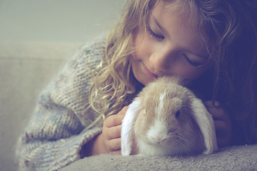 Cute blonde danish 7 year old girl in knitted sweater connecting with her baby bunny pet