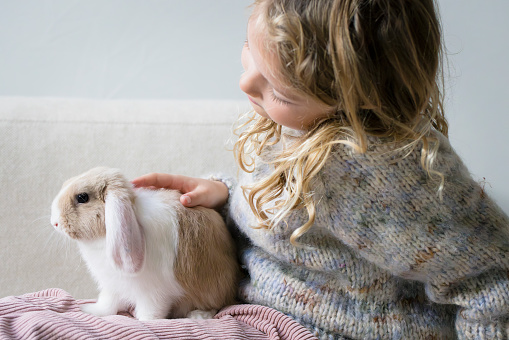 Cute blonde danish 7 year old girl in knitted sweater connecting with her baby bunny pet