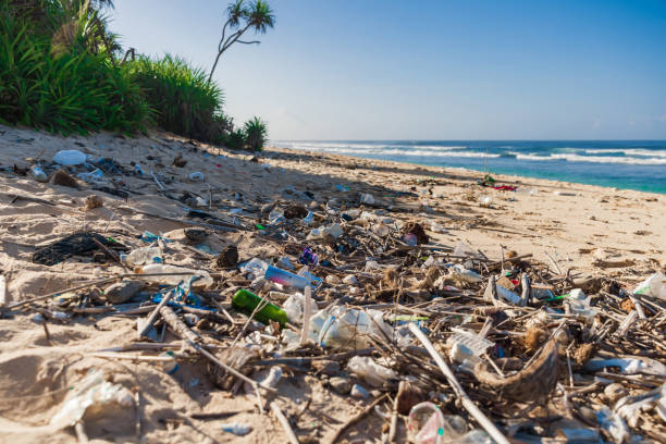 istock Tropical beach and plastic trash in Bali island. Pollution by plastic rubbish on ocean coastline 1787696574