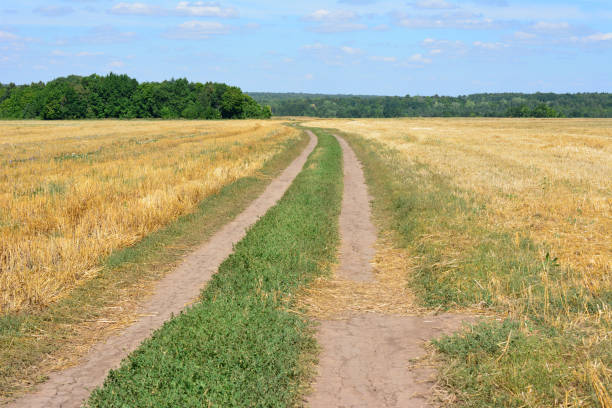 istock country road in the wheat field with forest on background copy space 1787699780