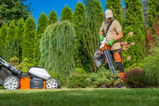 istock Backyard Owner with a Garden Vacuum Cleaning His Yard 1787699861