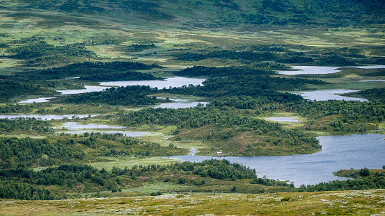Fjell landscape (plateau) on the border of Sweden and Norway near Tanndalen and Fjällnäs