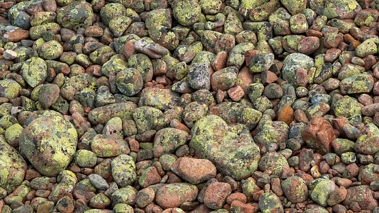 Red granite (boulders) covered with yellow-green lichen. Photo taken in nature reserve Höga Kusten in central Sweden.