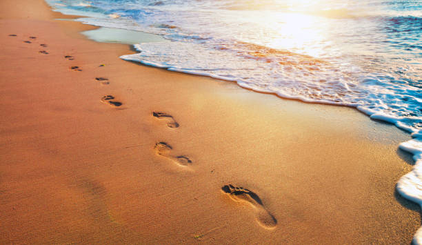 istock footprints on the beach with golden sand 1787721350