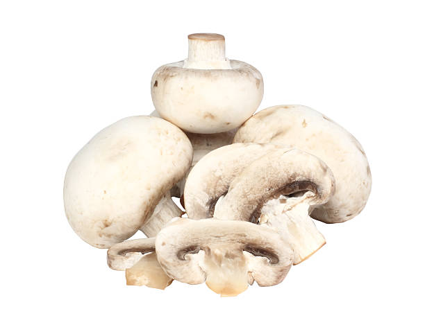 istock Mushroom mushroom . Isolated 178772137
