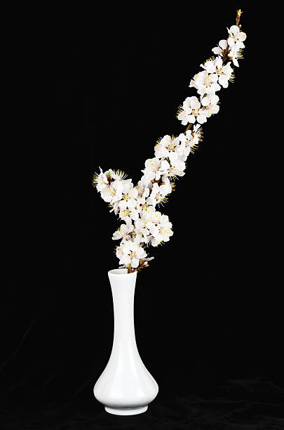 istock Flowering apricot tree branch against in a white vase 178772391