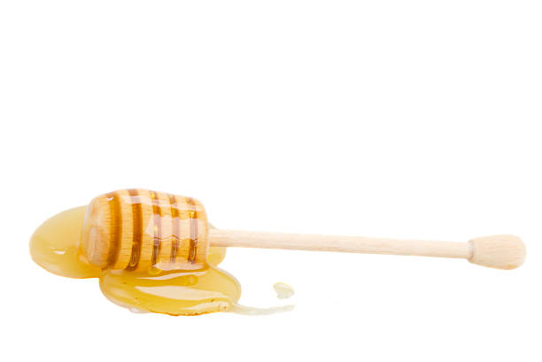 istock wooden honey stick in puddle 178772533