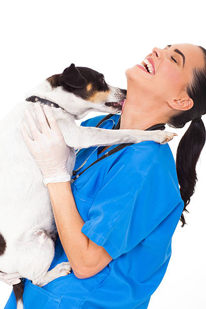 istock pet dog licking vet nurse's neck 178773479