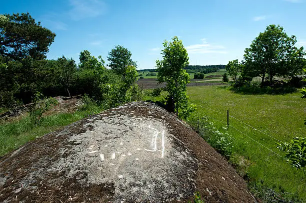 The Rock-carving named Dalby 172:1, is a 90 cm long ship with high stems and with 18 marks for the crew. There are also around forty elf-stones in the rock, Viking age, Uppland, Sweden