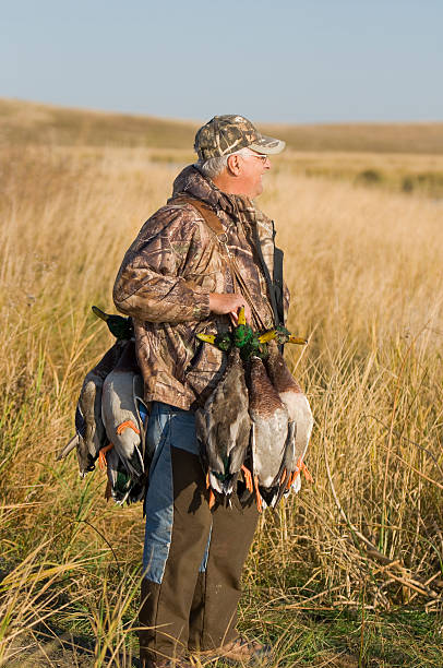 Duck Hunter stock photo