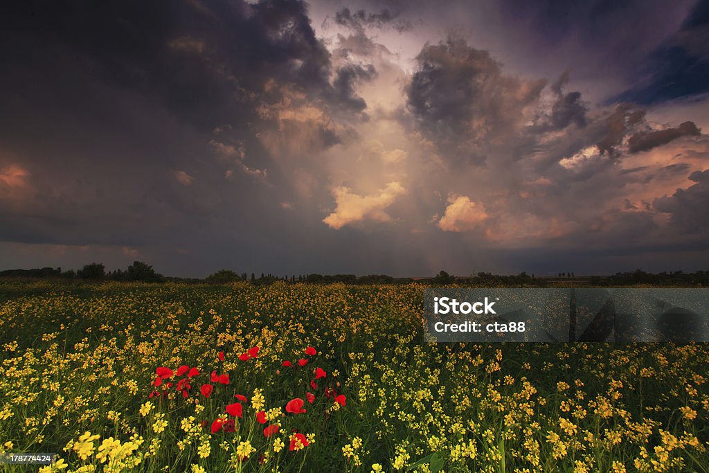 Dramático noite céu de tempestade - Foto de stock de Agricultura royalty-free