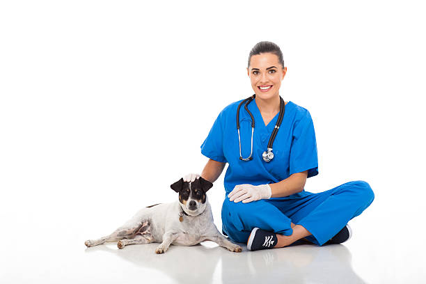 istock caring vet doctor sitting with pet dog 178774503
