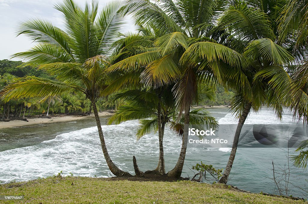 Bocas del Toro Arquipélago - Royalty-free América Central Foto de stock