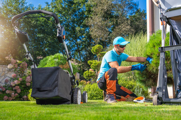 istock Caucasian Man Pruning His Backyard Garden Plants Next to Lawn Mower 1787748970