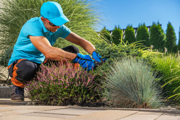 istock Backyard Garden Plants Pruning Performed by Gardener 1787750526
