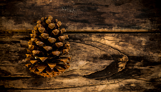 Pine cones on an old wooden board