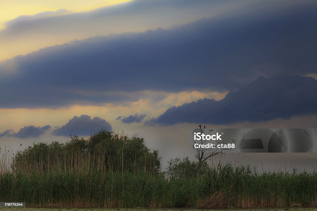 Tempestade de belas nuvens sobre o lago em primavera - Foto de stock de Arbusto royalty-free