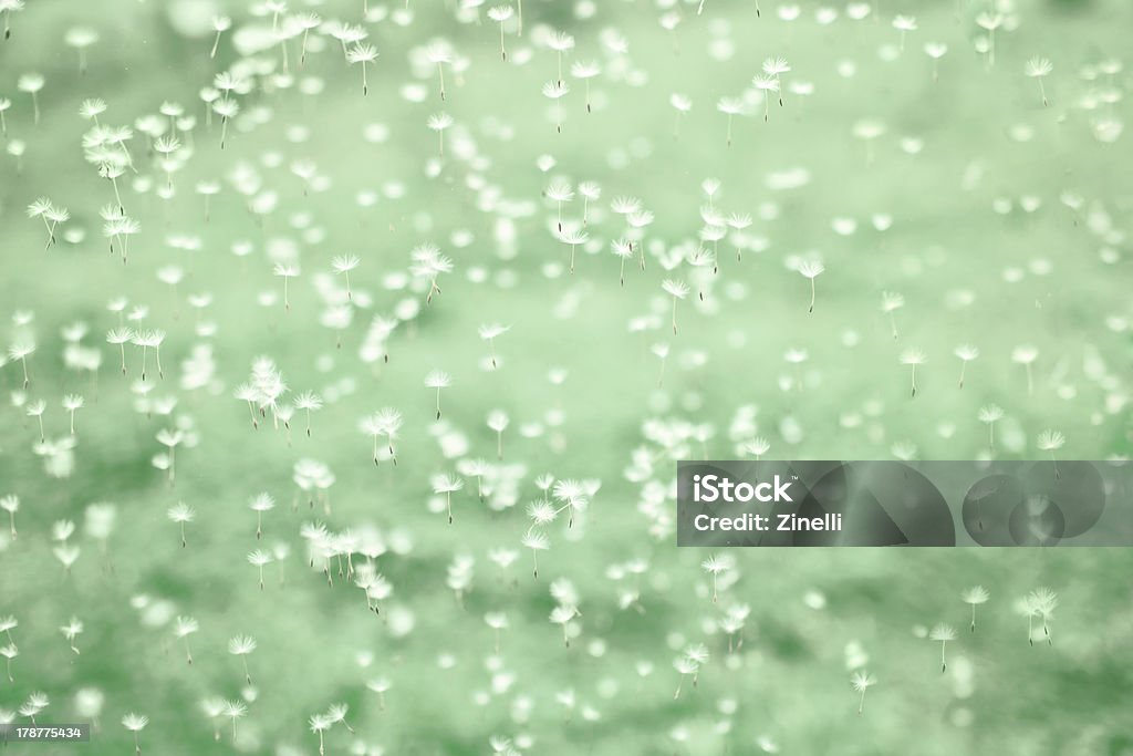 Été la neige - Photo de Affectueux libre de droits