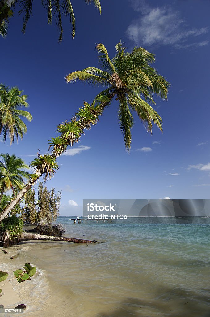 Arcipelago di Bocas del Toro - Foto stock royalty-free di Ambientazione esterna
