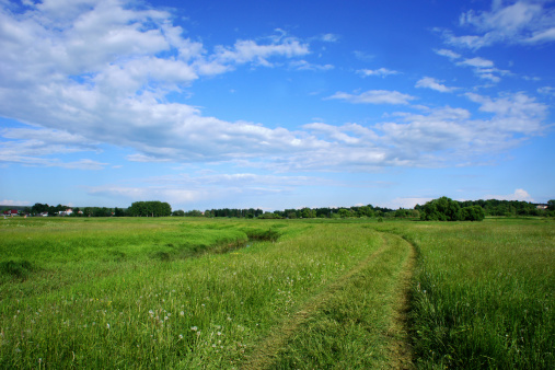 Paddy field at non-urban (village) location