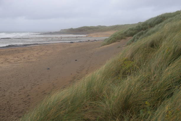 pochmurny dzień w fanore beach - hrabstwo clare - irlandia - surf scene zdjęcia i obrazy z banku zdjęć