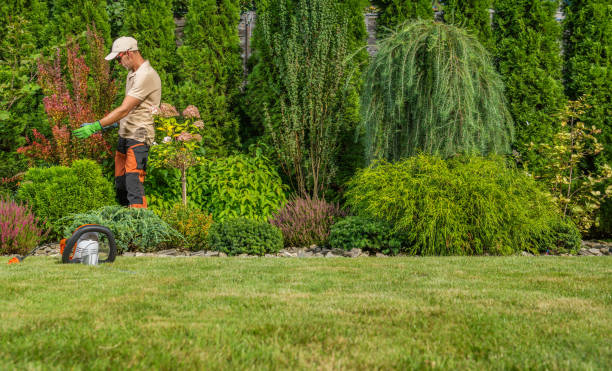 istock Professional Garden Worker Performing Seasonal Garden Maintenance 1787783608