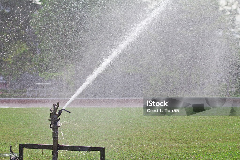 Annaffiatore spruzzare acqua su prato - Foto stock royalty-free di Accudire