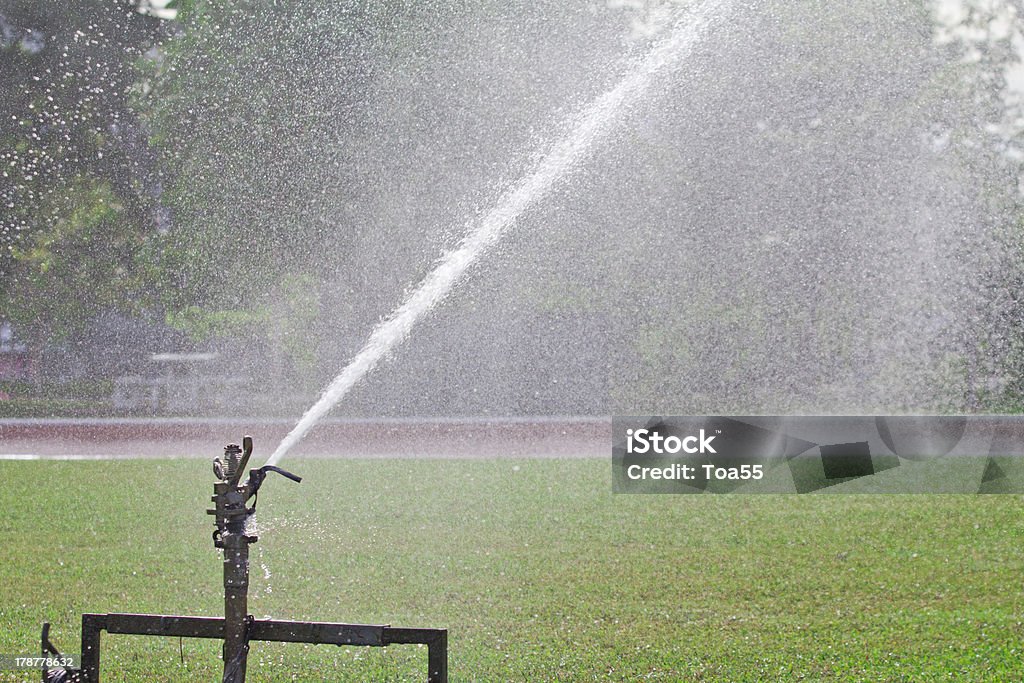 Kropidło rozpylanie wody na Trawnik - Zbiór zdjęć royalty-free (Boisko)